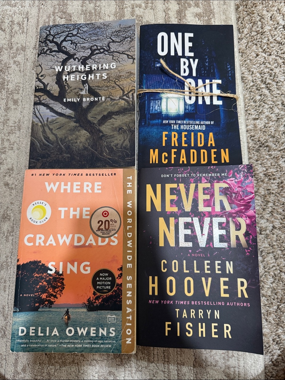 Barnes & Noble Paperback Book Lot - Blue, Black, Orange, Pink, Gray Covers